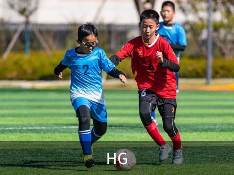 HG概况